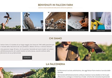 FALCONFARM
